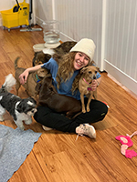 dog image