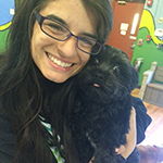 dog image