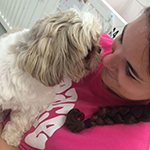 dog image