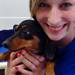 dog image