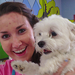 dog image