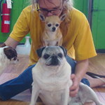 dog image